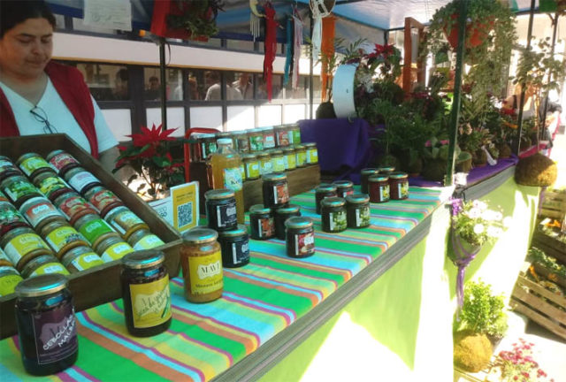 feria home unlam