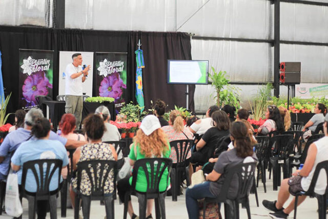 Expo P F - V MDN
