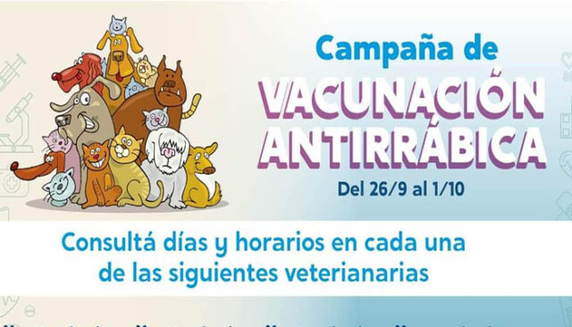 Vacunacion antirrabica Perrosy Gatos MDN