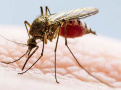 Morón refuerza las acciones contra el dengue ante la llegada de El Niño