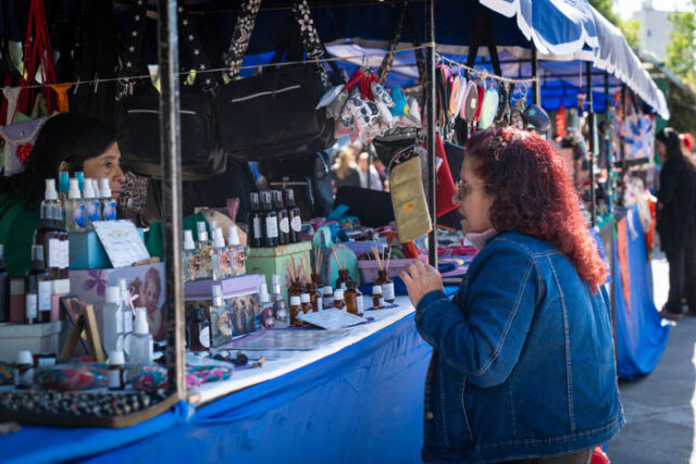 FERIA PLAZA SAN MARTIN mdn