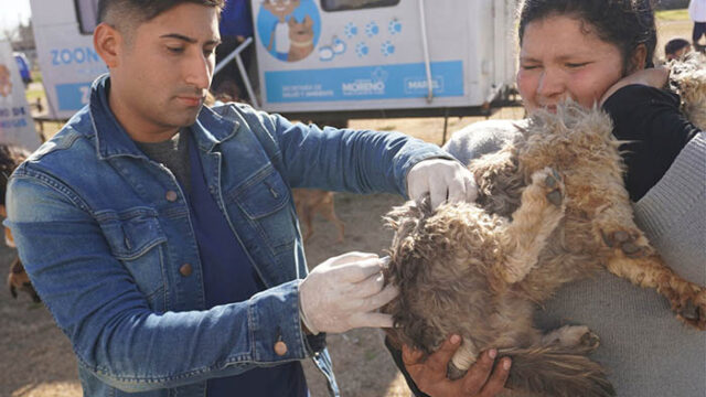 Zoonosis mdn
