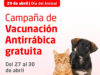 Morón| Campaña de vacunación antirrábica para perros y gatos
