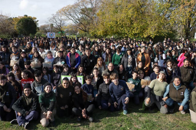 ambiental mdn