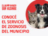 Morón refuerza los servicios veterinarios gratuitos