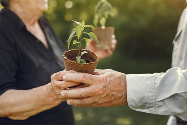 Portrait of seniors in a hat gardening