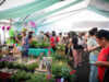 Moreno celebra la 24° Fiesta Provincial del Plantín Floral