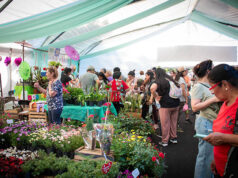Moreno celebra la 24° Fiesta Provincial del Plantín Floral