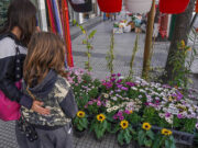 Ituzaingó lanzó una campaña de promociones por la Semana de la Primavera
