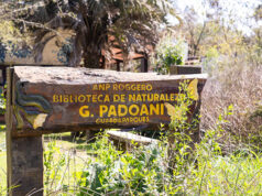 Moreno| Agenda de setiembre de la Biblioteca de Naturaleza Giordano Padoani
