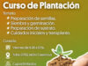 La Matanza| Curso gratuito de plantación y cuidado ambiental en Isidro Casanova