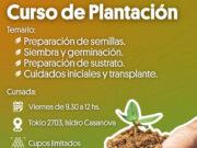 La Matanza| Curso gratuito de plantación y cuidado ambiental en Isidro Casanova